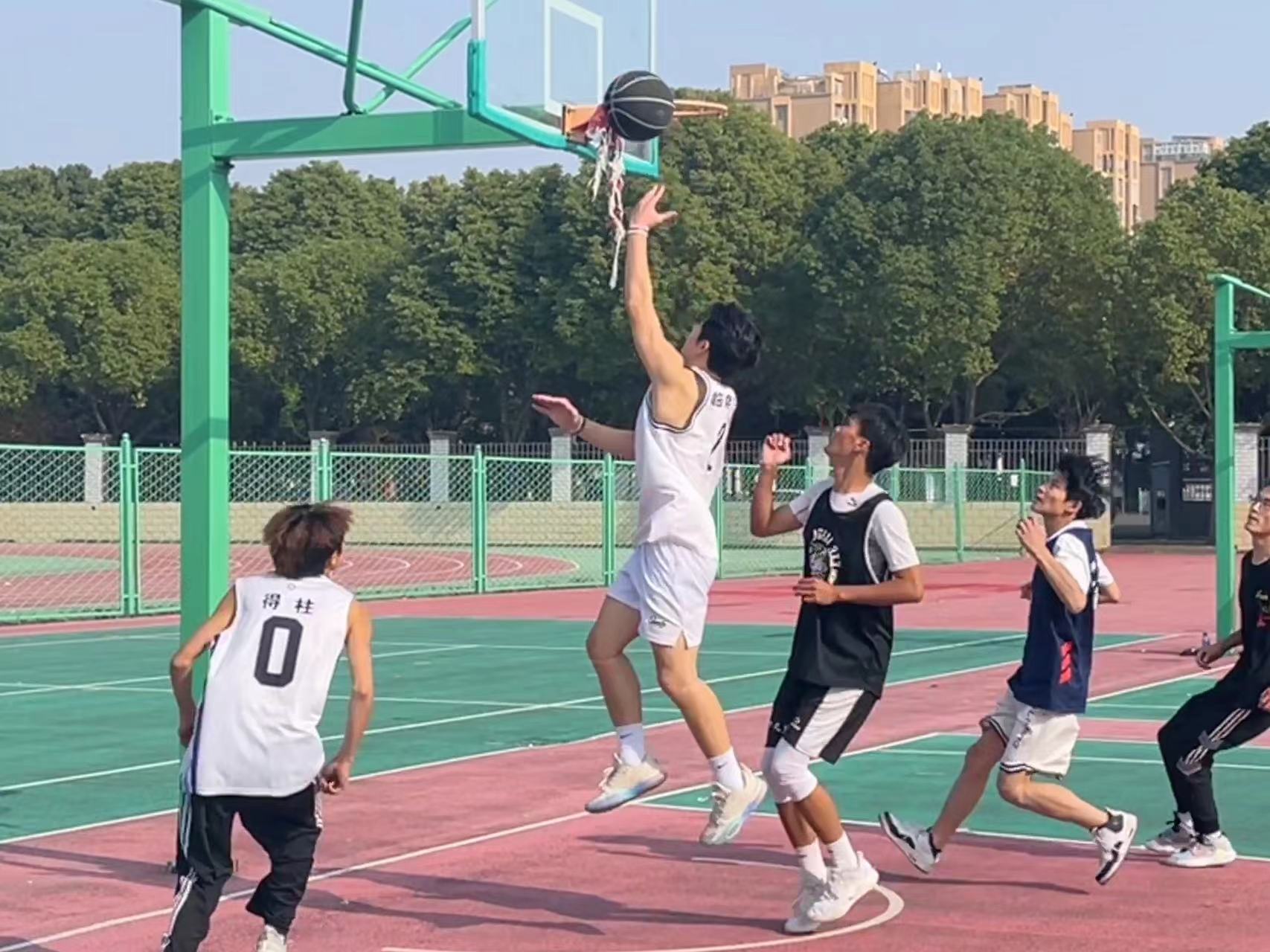 打开4949图库下载