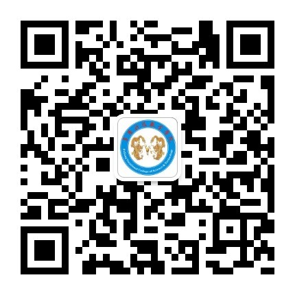 打开4949图库下载